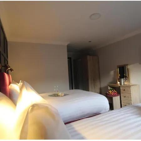 The Dutch Tulip 马洛