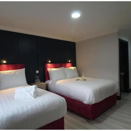 The Dutch Tulip 맬로