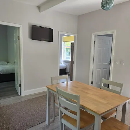 The Dutch Tulip 马洛