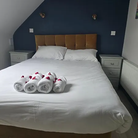 The Dutch Tulip 住宿加早餐酒店